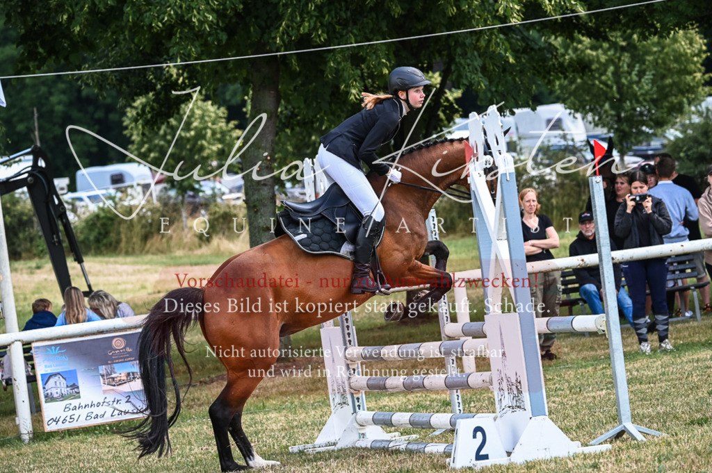 DSC_8471 | Pferde- und Turnierfotografie in Westsachsen. Pferdeportraits, Auftragszeichnungen und intuitive Kunst.