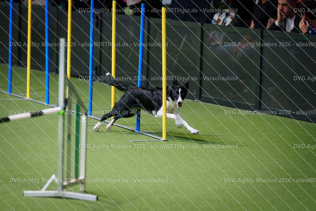 allesWIRTHgut_Tierfotografie-DVG_Agility_Masters_2026-09_27-7R501773 | Professionelle Tierfotografie in Mönchengladbach von Daniel Wirth (allesWIRTHgut). Liebevolle & natürliche Bilder von Hunden & Katzen für unvergessliche Erinnerungen.