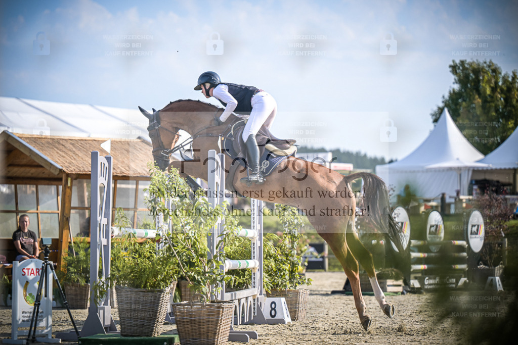 DOS_0694 | Entdecke hochwertige Reitturnierfotos von Foto Oger. Professionell, emotional und authentisch – jetzt Lieblingsmomente im Shop bestellen. - Realisiert mit Pictrs.com