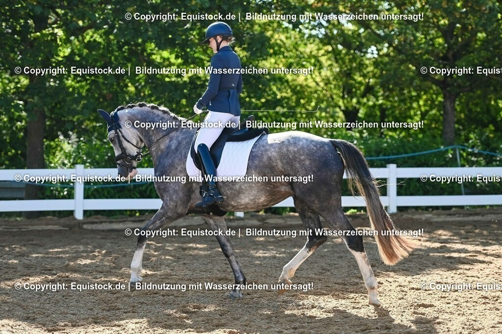 20230715_06_Dressurpferdeprfg. Kl.A_0313 | equistock