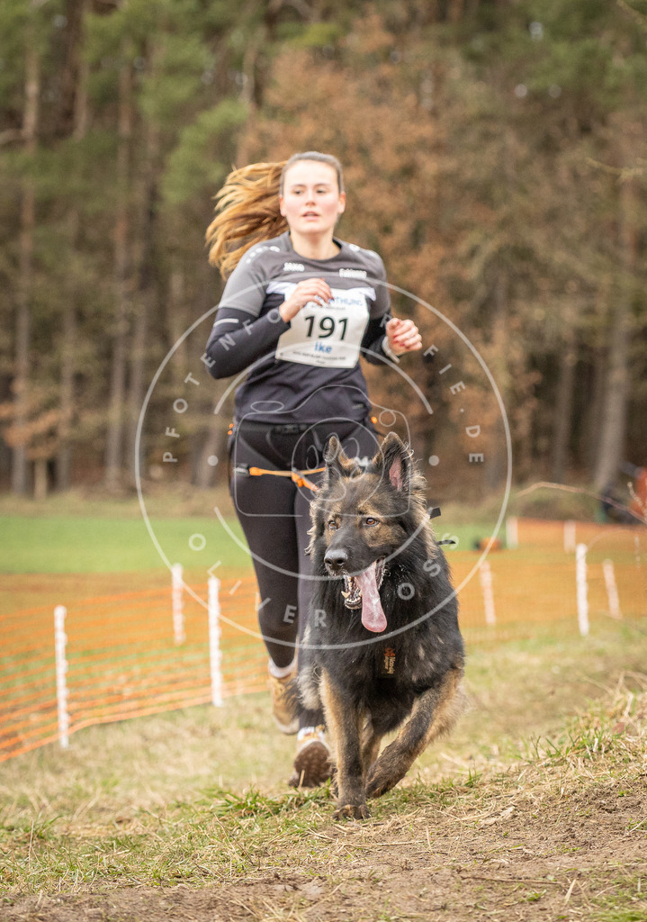 DV3A2700 | Hundefotografie, Tierfotograf, Pfotenfotografie, Fotoshooting Hund, Hunde Portrait, Hundesport, Hundeportraits, Heideshooting, Hunde, Sportfotograf, Hundefotograf, Turnierhundsport, THS,  - Realisiert mit Pictrs.com