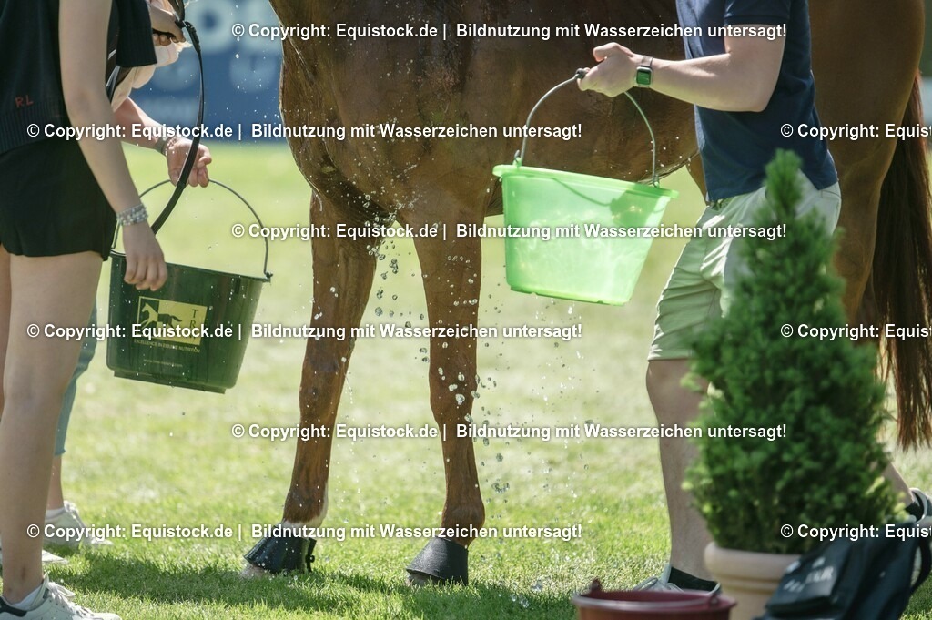 20230527_27_CCI4_Gelände_0184 | equistock