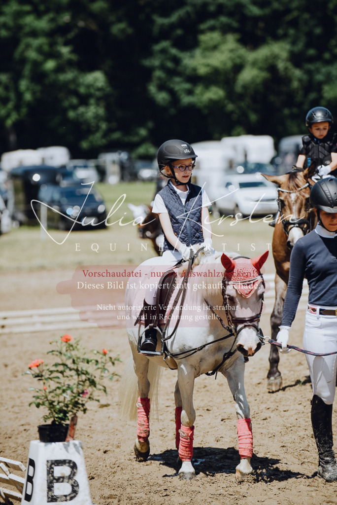 DSC_2402 | Pferde- und Turnierfotografie in Westsachsen. Pferdeportraits, Auftragszeichnungen und intuitive Kunst.