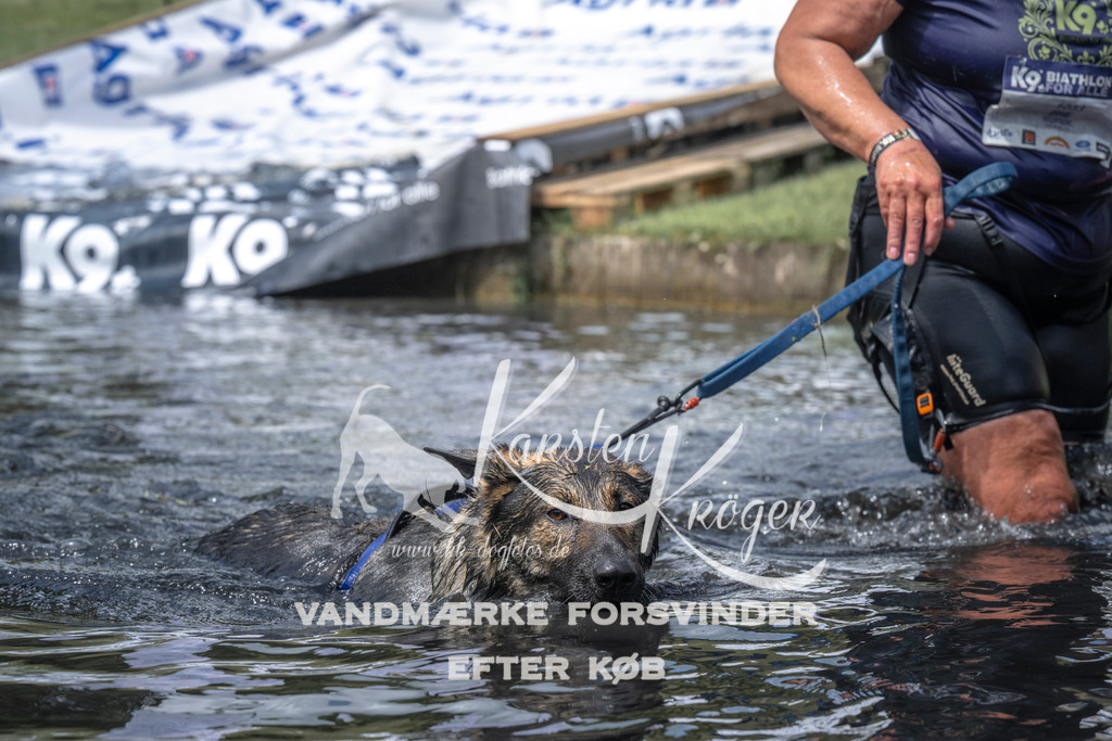 1203_ZZ95136 | kk-dogfotos