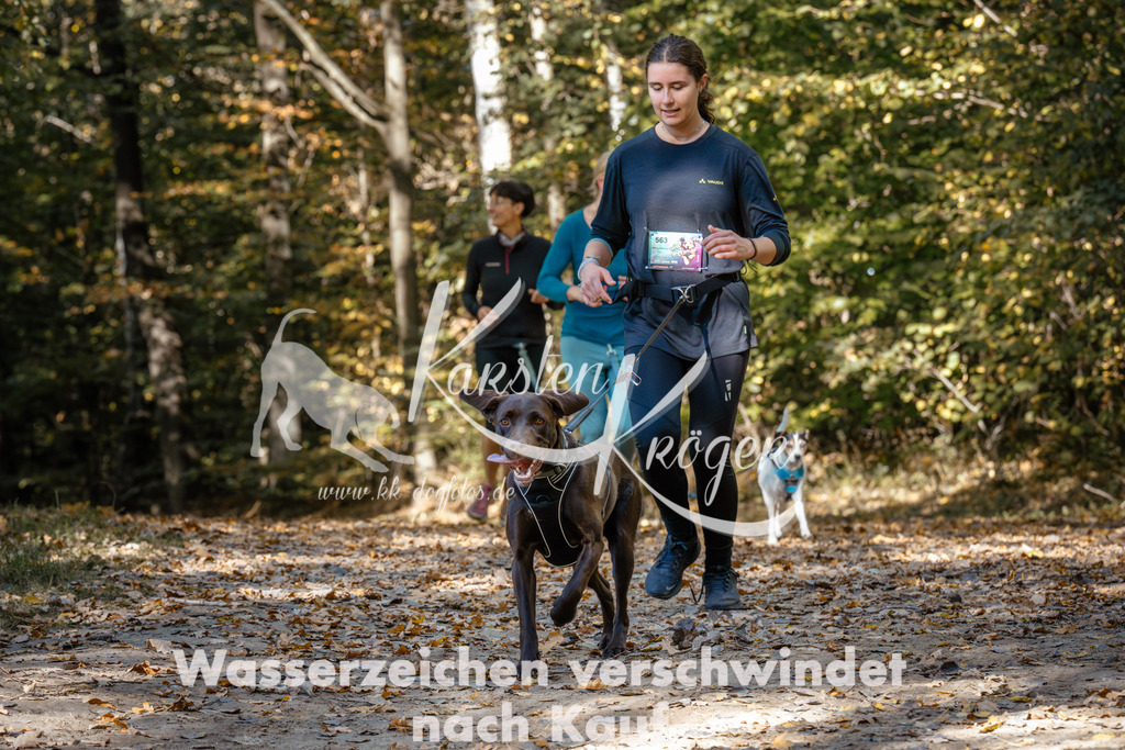 1229_ZZ95340 | kk-dogfotos