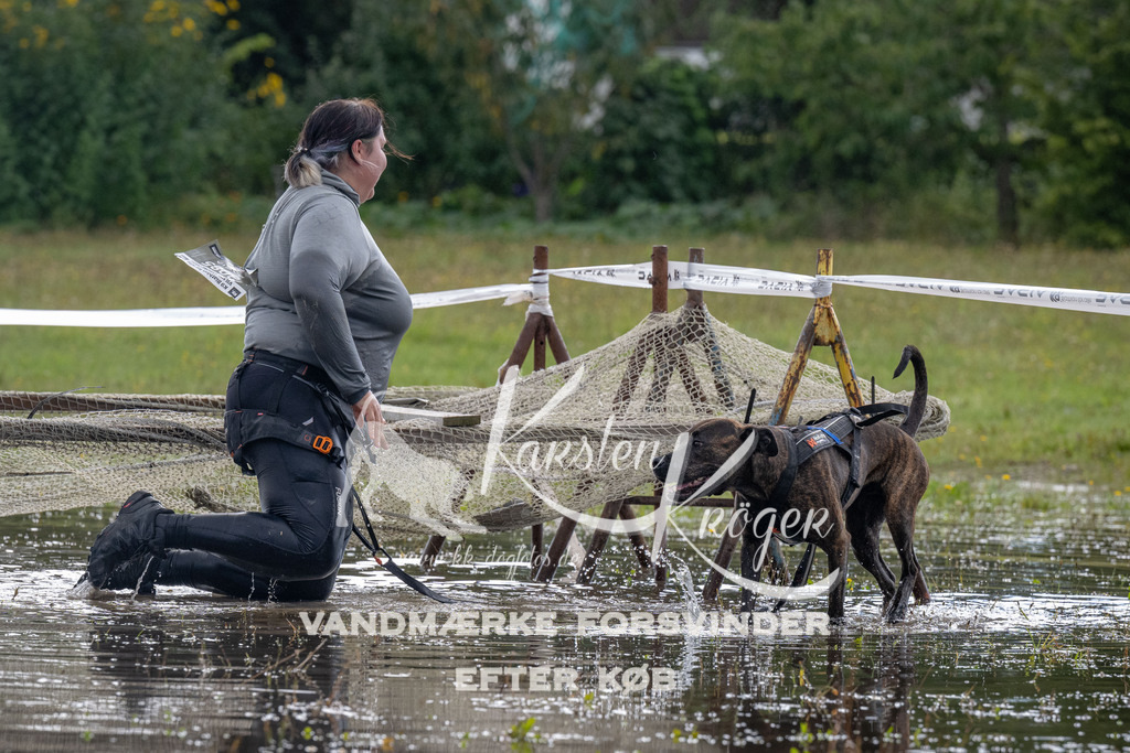1406_ZZ91135 | kk-dogfotos