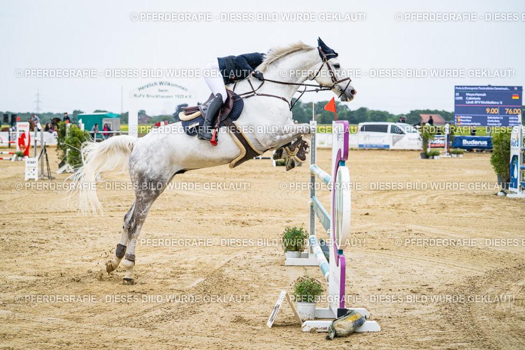 DSC07705 | Pferdegrafie