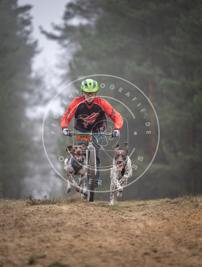 Pfotenfotografie_DV3A0920 | Hundefotografie, Tierfotograf, Pfotenfotografie, Fotoshooting Hund, Hunde Portrait, Hundesport, Hundeportraits, Heideshooting, Hunde, Sportfotograf, Hundefotograf, Turnierhundsport, THS,  - Realisiert mit Pictrs.com
