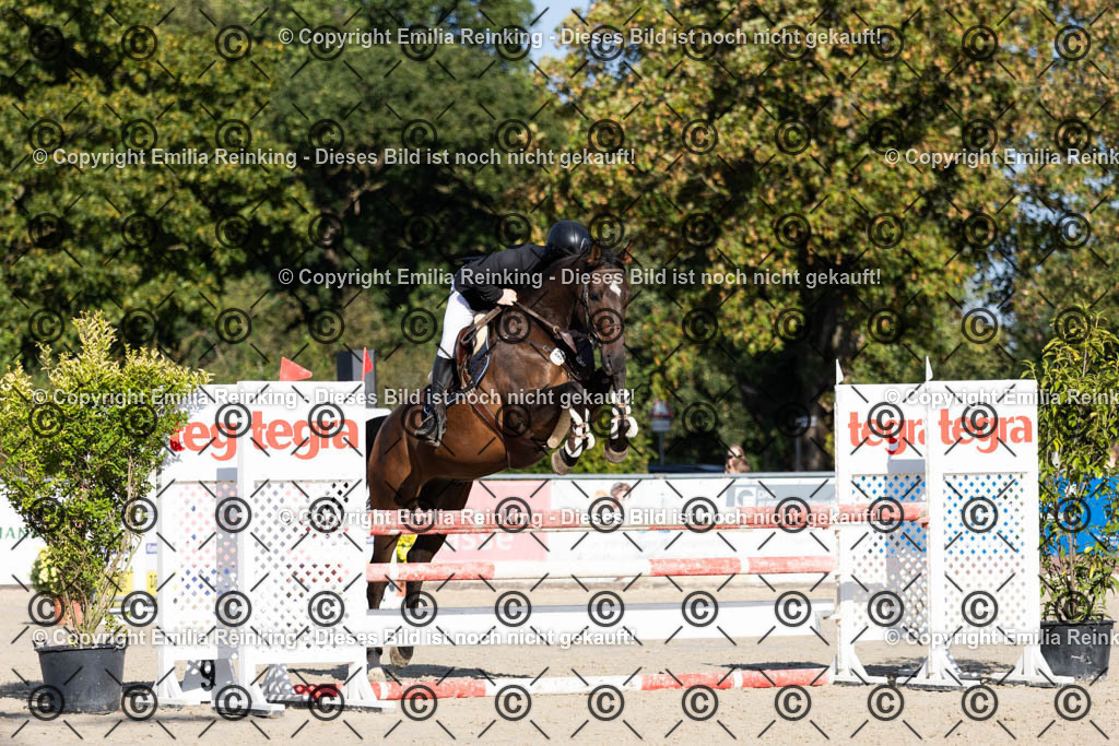 CL5A4310 | Emilia Reinking Fotografie - Realisiert mit Pictrs.com