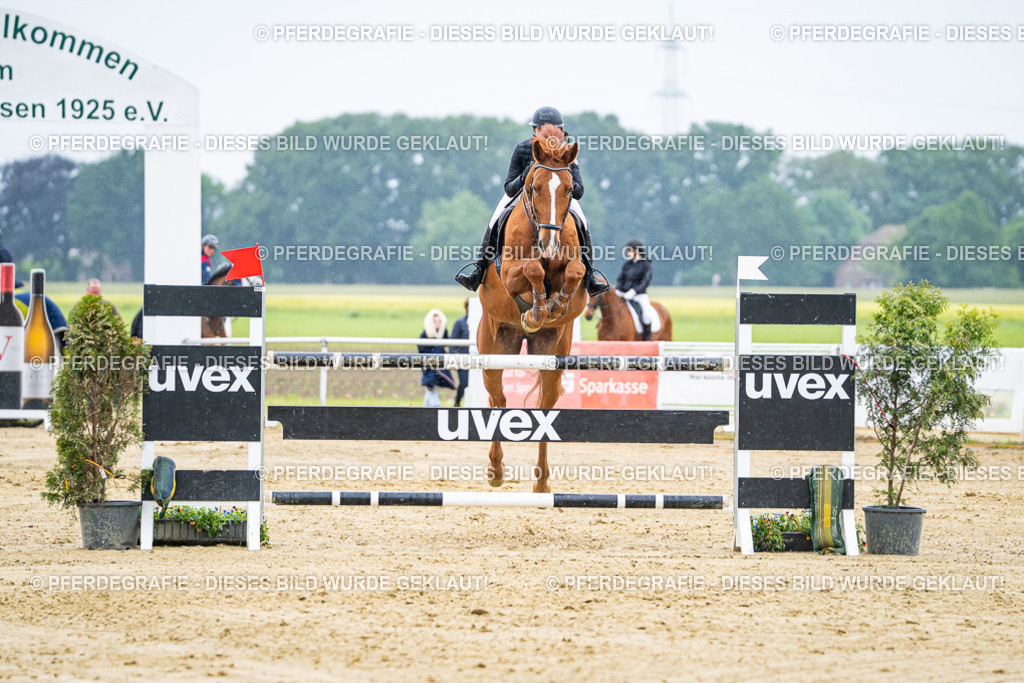 DSC08072 | Pferdegrafie