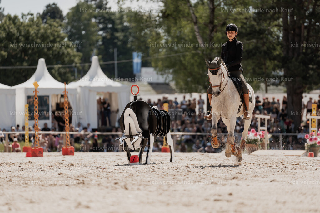 WE_SP_Stoib_336_PI2025_1696 | Pferd International München 2025