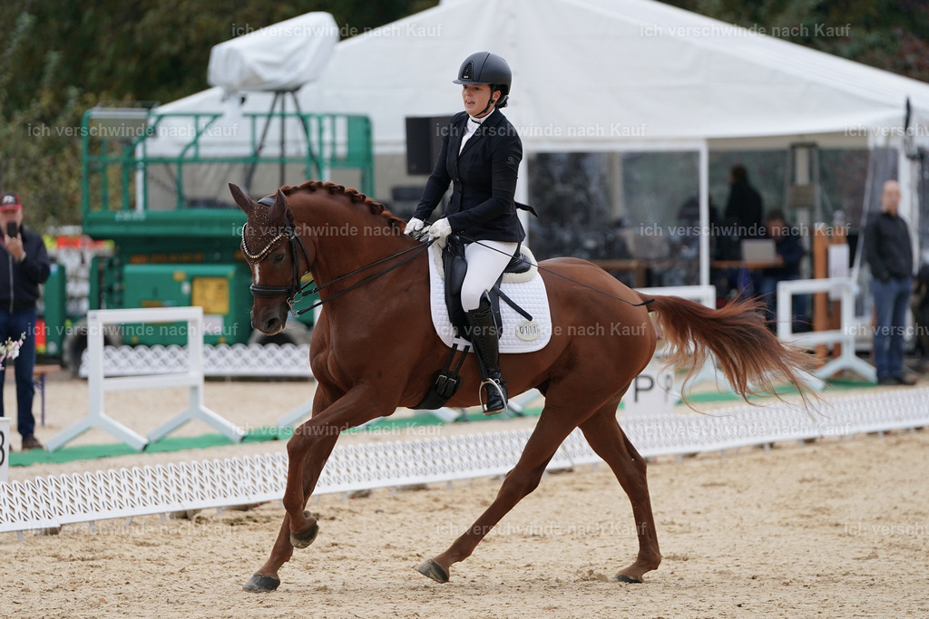 3-111-Dressur M_-Marixx-2219 | working equitationturnier fotograf videograf stoibphotography marixx film working equitation deutschland reitsport turnierfotografie eventfotografie equestrian events