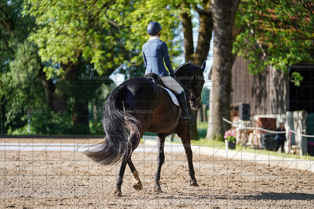 20240519-FAH04398 | Turnierbilder Niederseeon 2024, Vielseitigkeitsdressur, Reitsportbilder aus dem Landkreit Ebersberg, Gut Steinsee, RC Steinsee, Fotoagentur Herrmann