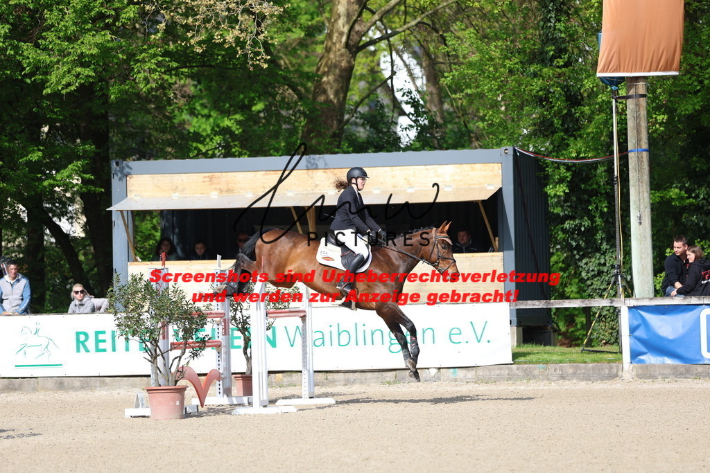 A40A2659 | lmwpictures - Realisiert mit Pictrs.com