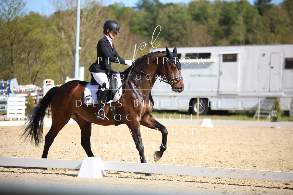 IMGT8775 | pl-fotografie