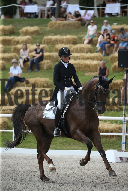 Birkhof_2022_GrandPrixSpecial_Martina Steisslinger_Favory A.S (9) | Alle Fotos der Reiterjournal Fotografin Doris Matthaes im Reiterjournal Online-Fotoshop. - Realisiert mit Pictrs.com