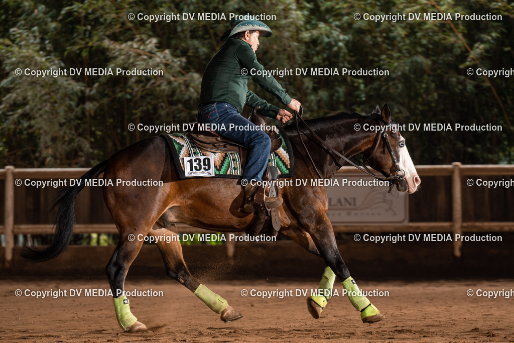 Erbach Tag 2-708 | dv-media-shop - Realisiert mit Pictrs.com