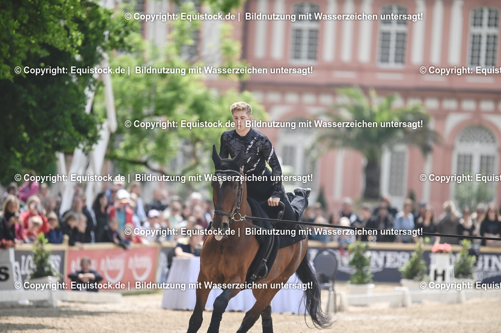 20240519_Voltige_0522 | Foto: Thomas Hartig