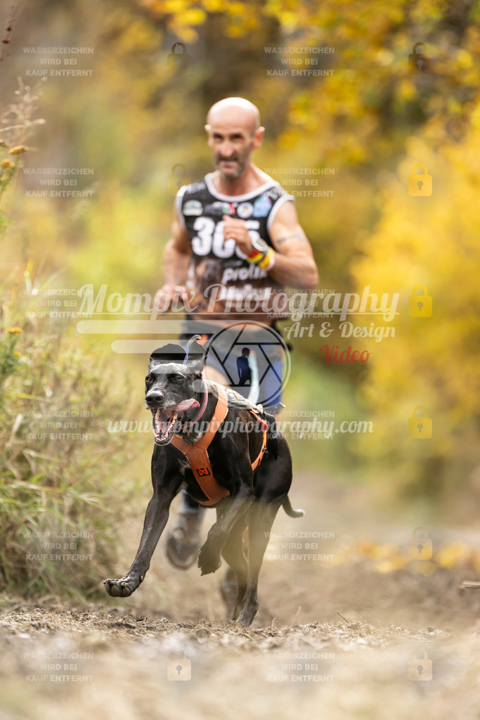 MompixPhotography_ICF_WC_2024_SA_Run_-302 | PayLife