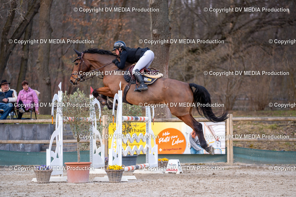 Kranichstein Tag 2-2379 | dv-media-shop - Realisiert mit Pictrs.com