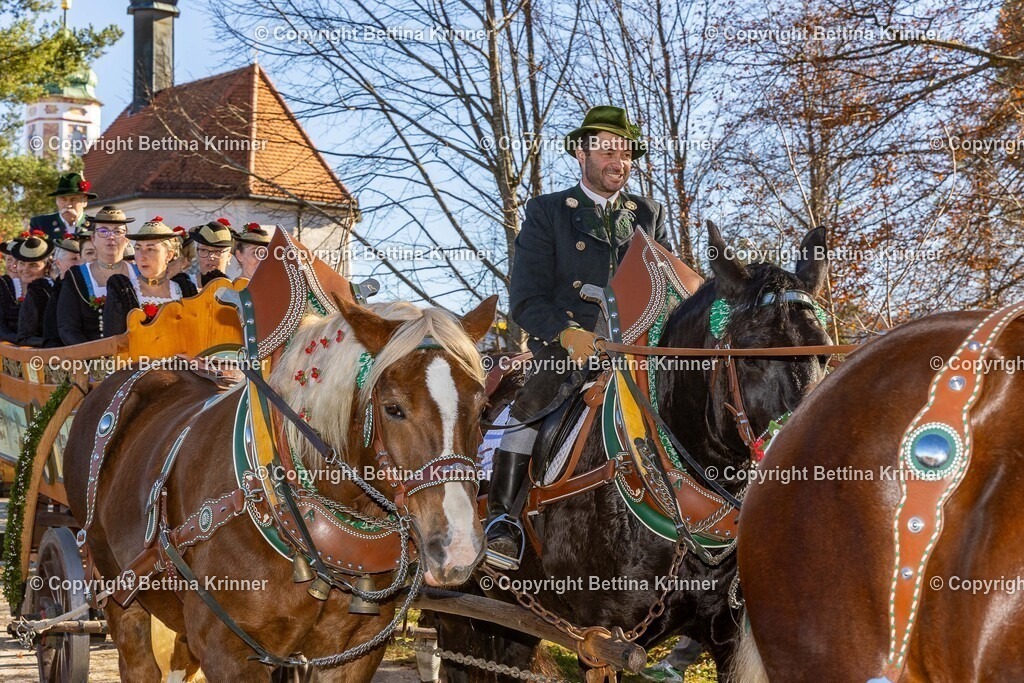 LBT25-1388 | foto-bettina-krinner - Realisiert mit Pictrs.com