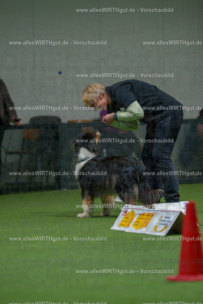 7R504271 | Professionelle Tierfotografie in Mönchengladbach von Daniel Wirth (allesWIRTHgut). Liebevolle & natürliche Bilder von Hunden & Katzen für unvergessliche Erinnerungen.