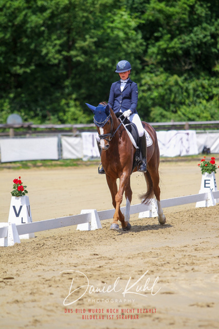 DKP46065 | Turniersportfotografie; Pferdefotografie; Dressurfotografie