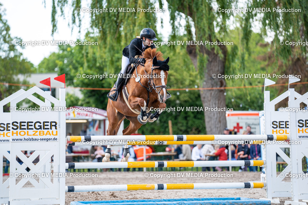 Eppelheim Tag 1-486 | dv-media-shop - Realisiert mit Pictrs.com