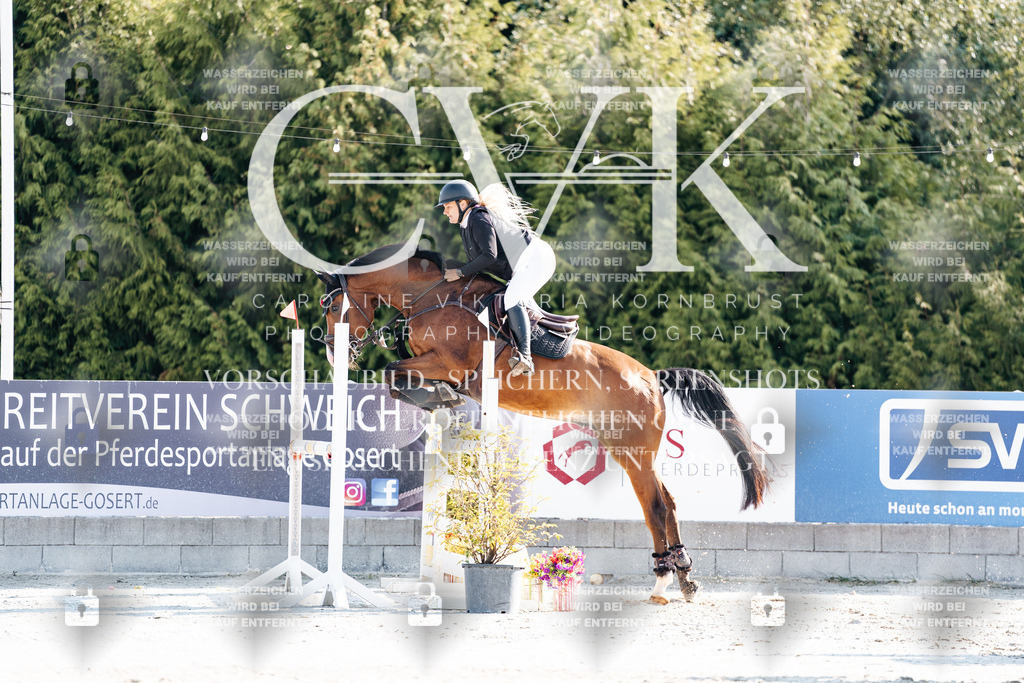 CK901603 | Turnierfotografie Pferdefotografie Trier Rheinland-Pfalz Pferdesport Reitsport Tierfotografie Sportfotografie Pferdevideo Pferdevideografie Equestrianvideography equestrianphotography  - Realisiert mit Pictrs.com