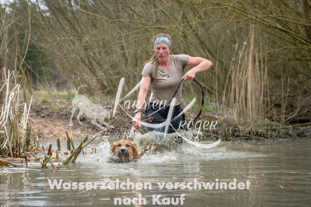 1330_ZZ99575 | kk-dogfotos