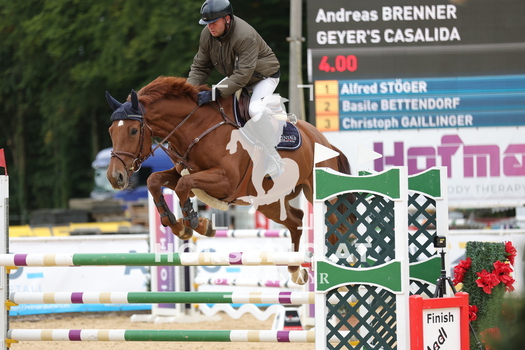 0P6A8179 | Willkommen bei Brunnmayr - Design & Fotografie – Ihrem Spezialisten für Reitturniere und Pferdeveranstaltungen in Oberösterreich, Salzburg und Bayern! Seit über 17 Jahren sind wir leidenschaftlich dabei.