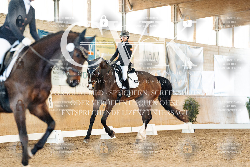 CK908444 | Turnierfotografie Pferdefotografie Trier Rheinland-Pfalz Pferdesport Reitsport Tierfotografie Sportfotografie Pferdevideo Pferdevideografie Equestrianvideography equestrianphotography  - Realisiert mit Pictrs.com