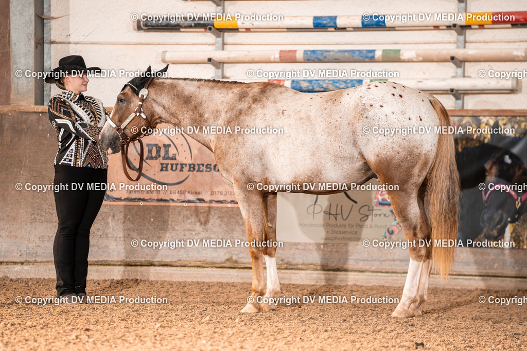 LM Heiligenwald Tag 1-40 | dv-media-shop - Realisiert mit Pictrs.com