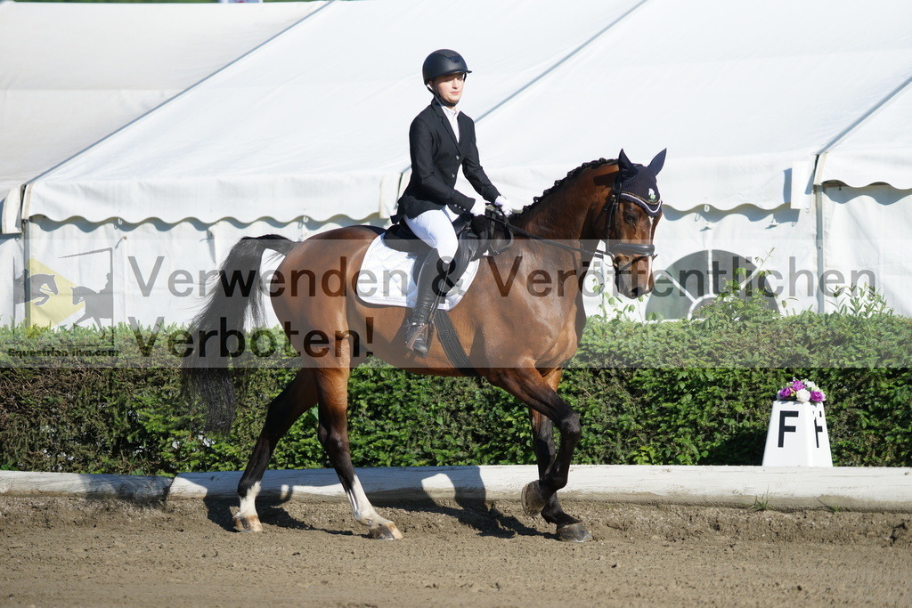 DSC04010 | equestrian-live-com