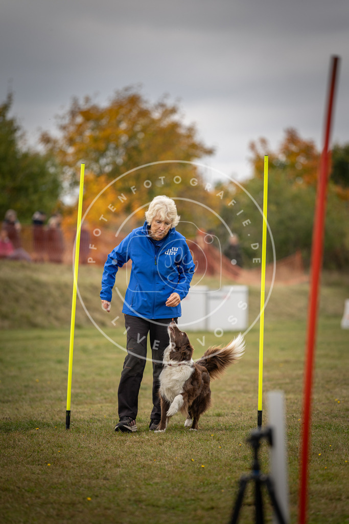 Pfotenfotografie_DV3A6045 | Hundefotografie, Tierfotograf, Pfotenfotografie, Fotoshooting Hund, Hunde Portrait, Hundesport, Hundeportraits, Heideshooting, Hunde, Sportfotograf, Hundefotograf, Turnierhundsport, THS,  - Realisiert mit Pictrs.com