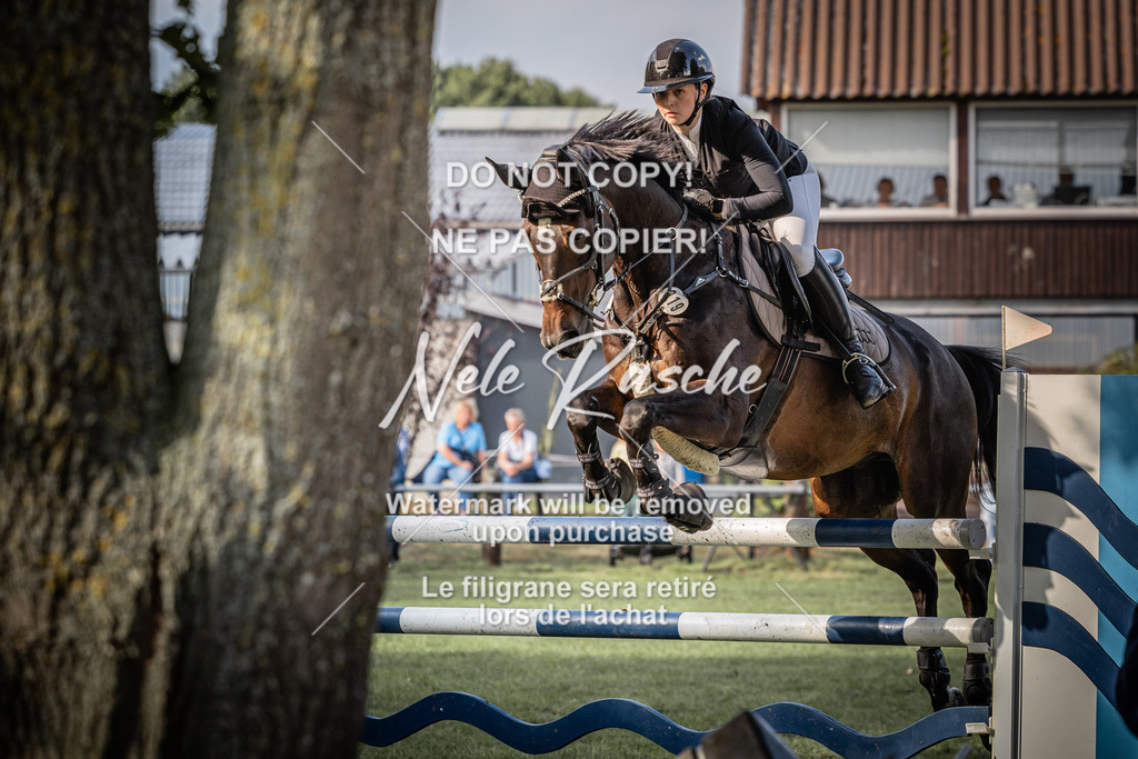 nelerasche_SprM_120Ede_55 | nelerasche