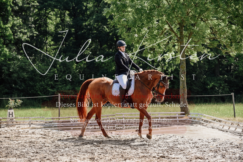 DSC_0295 | Pferde- und Turnierfotografie in Westsachsen. Pferdeportraits, Auftragszeichnungen und intuitive Kunst.