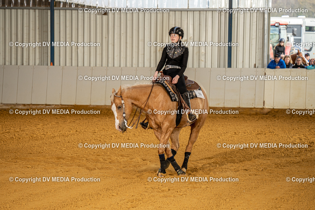 MIT00843 | dv-media-shop - Realisiert mit Pictrs.com