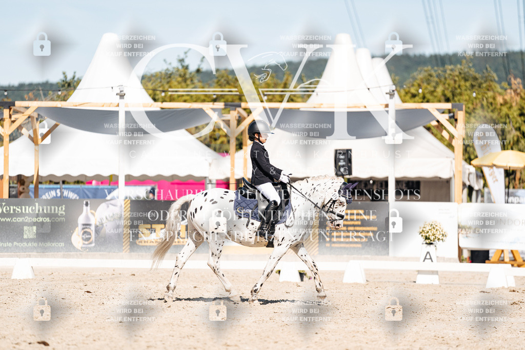 CK908527 | Turnierfotografie Pferdefotografie Trier Rheinland-Pfalz Pferdesport Reitsport Tierfotografie Sportfotografie Pferdevideo Pferdevideografie Equestrianvideography equestrianphotography  - Realisiert mit Pictrs.com
