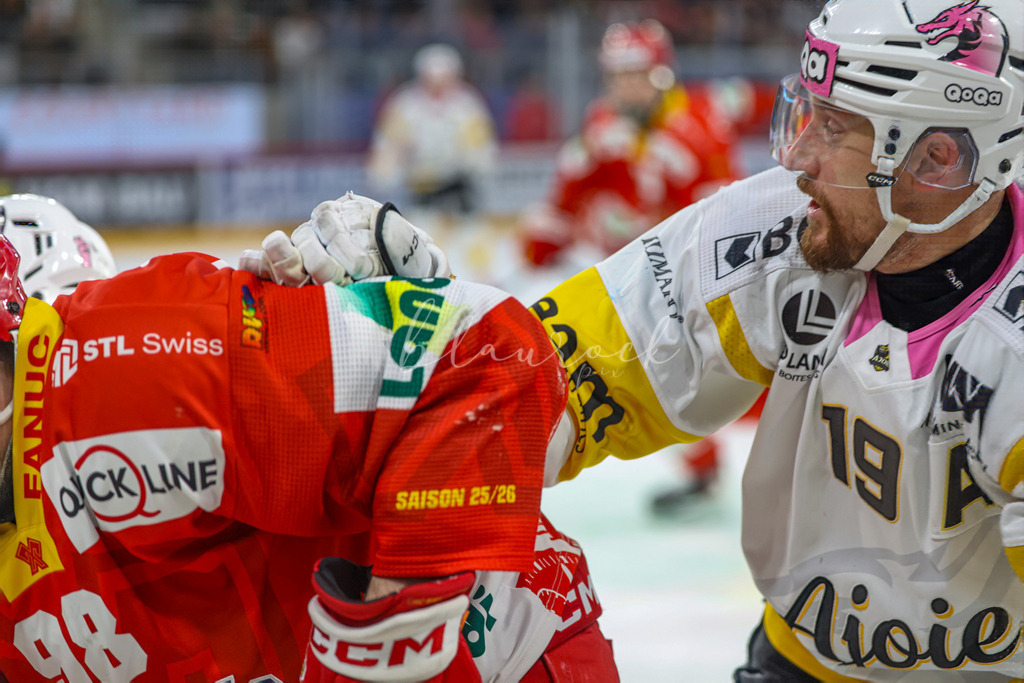 EHCB vs HCA 20260127_wb-9725 | Sportbilder, Sportfotograf, Hochzeits- und Eventfotografin, Flugshows, Portraits und Tiershooting, Aviation, Downhill, Nationalleague, Swissleague, International