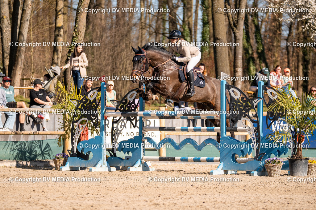 Kranichstein Tag 2-1020 | dv-media-shop - Realisiert mit Pictrs.com