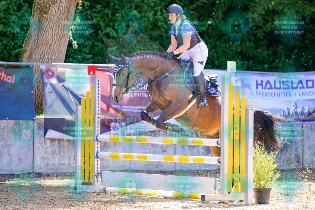 29082026-Giesenbach-Prfg10-0836 | Fokus Hufschlag Fotografie - Realisiert mit Pictrs.com