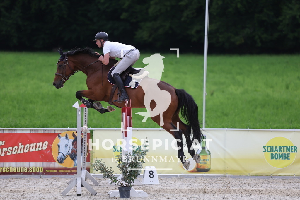 0P6A1991 | Willkommen bei Brunnmayr - Design & Fotografie – Ihrem Spezialisten für Reitturniere und Pferdeveranstaltungen in Oberösterreich, Salzburg und Bayern! Seit über 17 Jahren sind wir leidenschaftlich dabei.