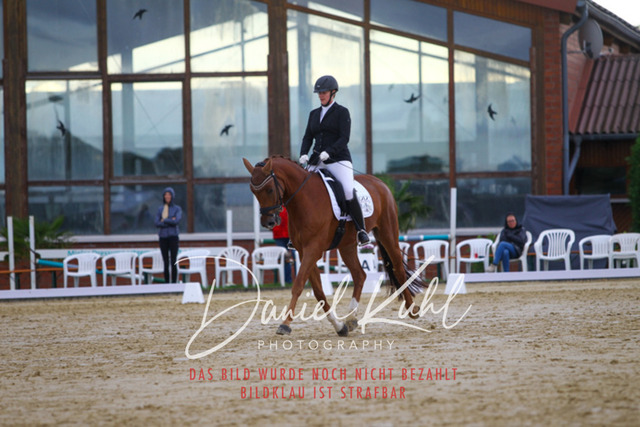 DKP43740 | Turniersportfotografie; Pferdefotografie; Dressurfotografie