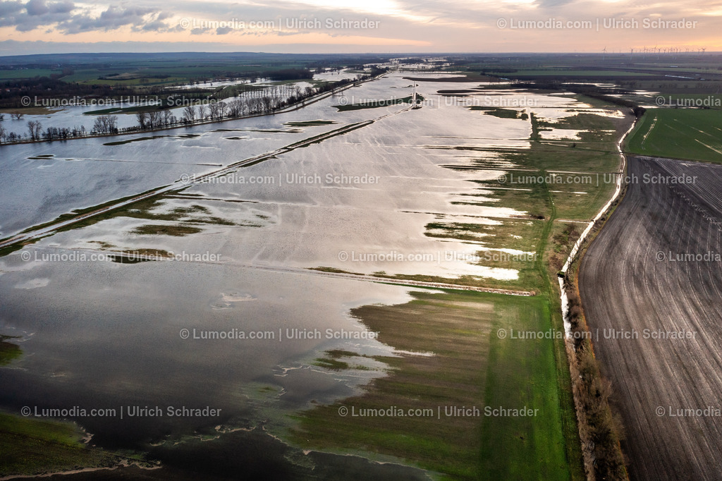 10049-51812 - Hochwasser im Großen Bruch | Stockfoto und Bilderpool mit Bildmaterial aus Deutschland, dem Harz, Halberstadt, Quedlinburg, Wernigerode und weltweit. Qualitativ hochwertige und professionelle Fotos anschauen und kaufen. - Realisiert mit Pictrs.com