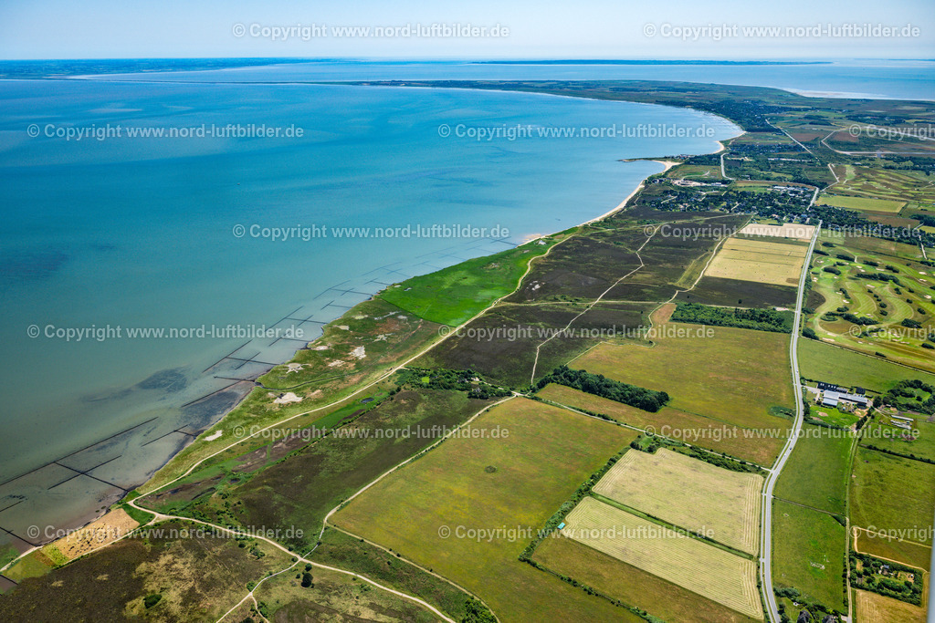 Sylt_Braderup_Braderuper_Heide_ELS_5356210625 | WENNINGSTEDT-BRADERUP (SYLT) 21.06.2025 Küstenbereich der Nordsee - Insel in Wenningstedt-Braderup (Sylt) Braderupper Heide Landschaft im Bundesland Schleswig-Holstein. // Coastal area of a??a??the North Sea - island in Wenningstedt-Braderup (Sylt) Braderupper Heide landscape in the state of Schleswig-Holstein. Foto: Martin Elsen