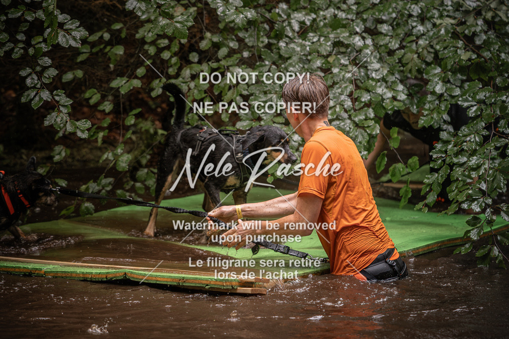 nelerasche_Wingst_Sa1330-1400_135 | nelerasche