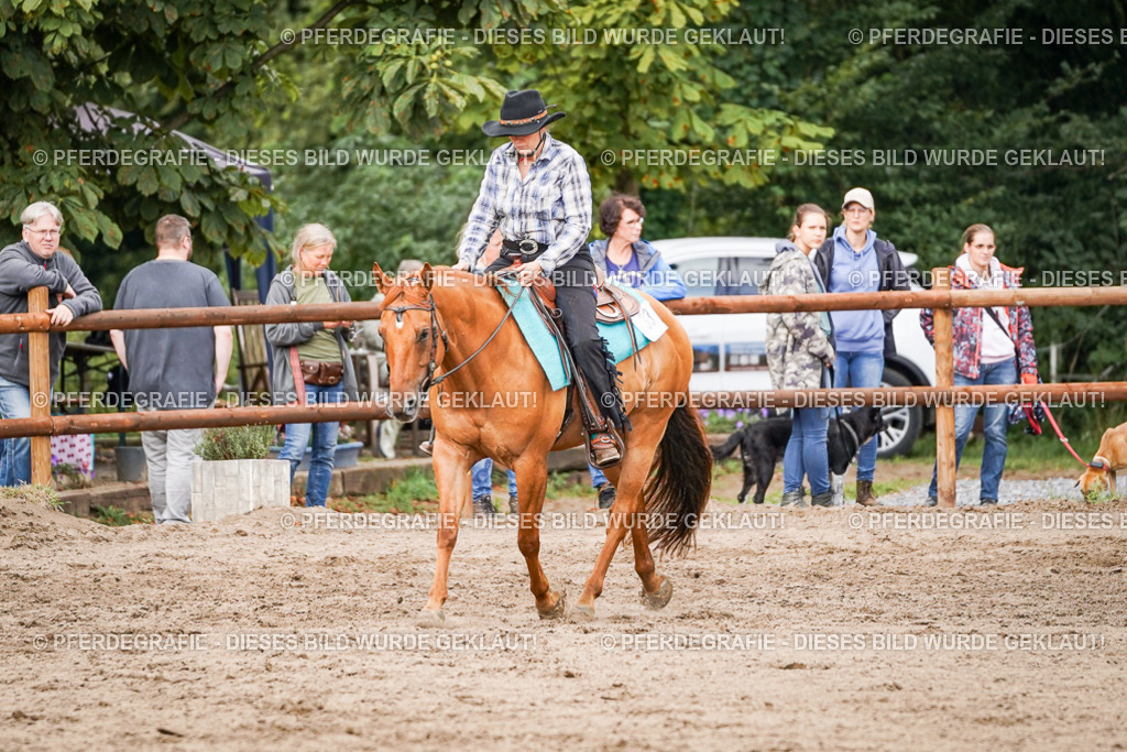 DSC08553 | Pferdegrafie