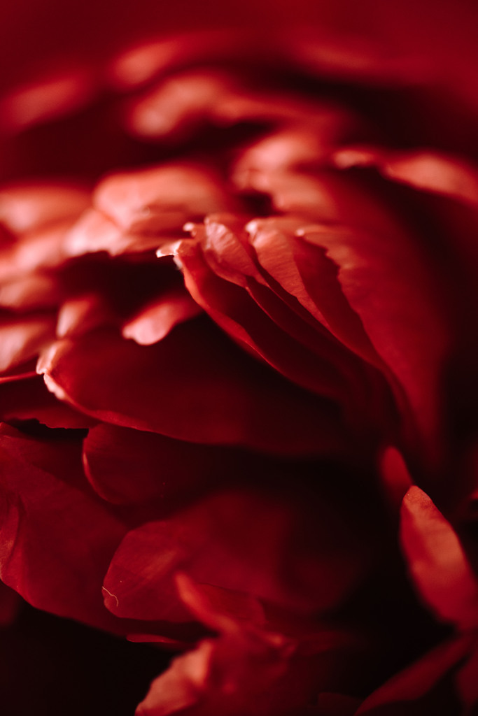 DSC_0905 | Du suchst natürliche und atmosphärische Prints oder Leinwanddrucke? In diesem Shop gibt es alles, nur kein Mainstream. - Realisiert mit Pictrs.com