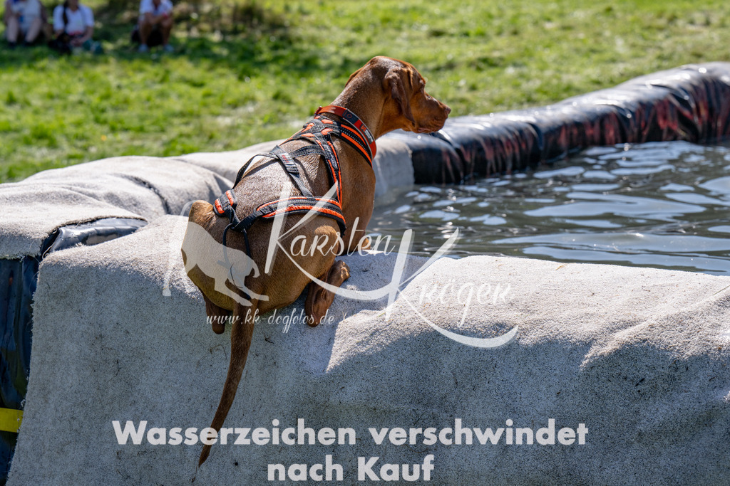 1226_ZZ91826 | kk-dogfotos